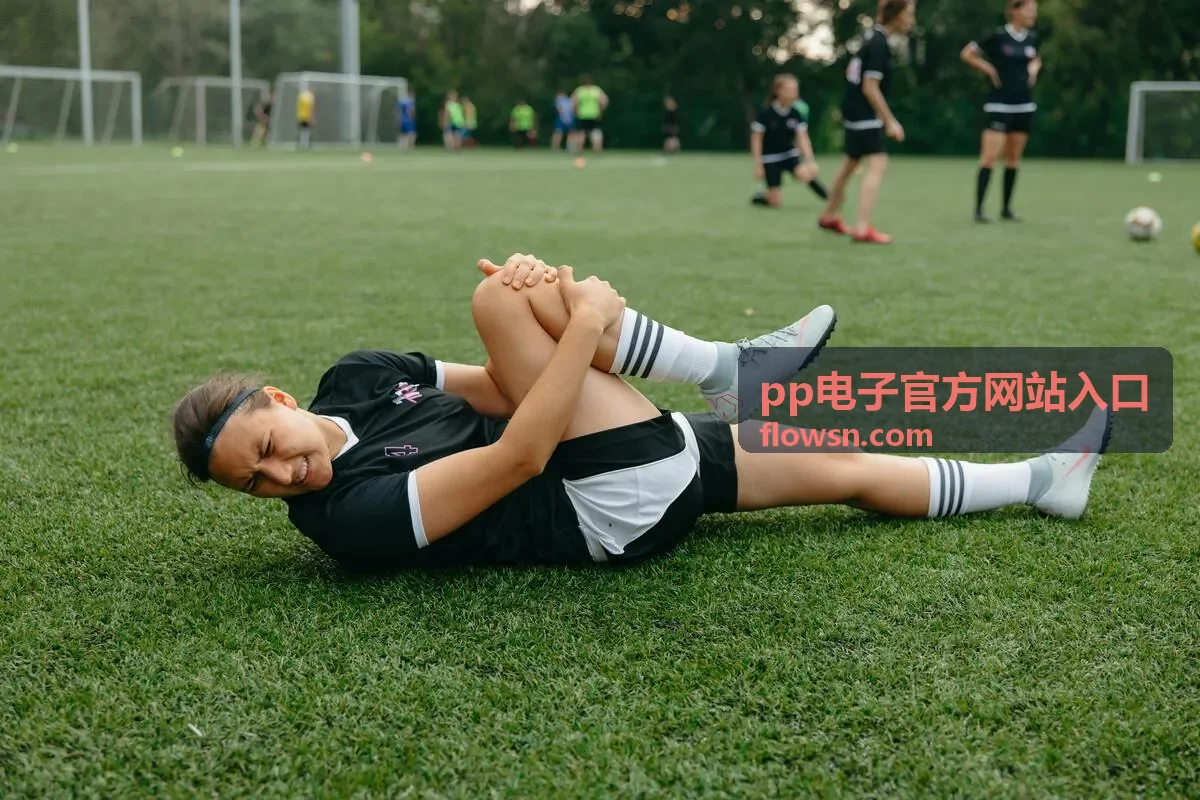 pp电子官方网站入口平台指南访问说明图